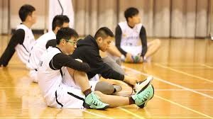 塞尔达无双翻译揭示林克与塞尔达仅是朋友