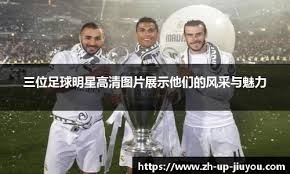 与文化系统
