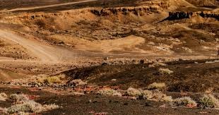 网易又曝光了一款新作，定位开放世界二次元，与《非人学园》有关